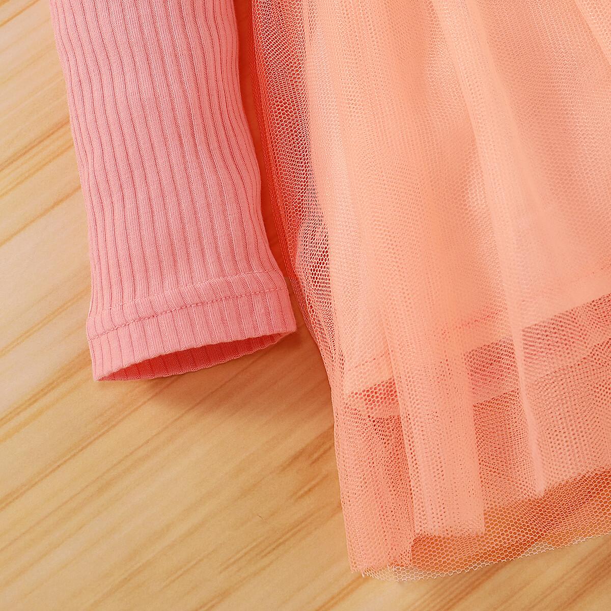 Newborn Baby Girl Fall Clothes Baby Girl Dress Long Sleeve Floral Dress Rib Dress Baby Girl Tulle Dress Party Dress Pink WL2003373-1