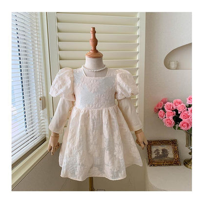 Baby Girls Princess Dress Long Sleeve Dress Jacquard Dress 21c039