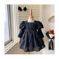 Baby Girls Princess Dress Long Sleeve Dress Jacquard Dress 21c039