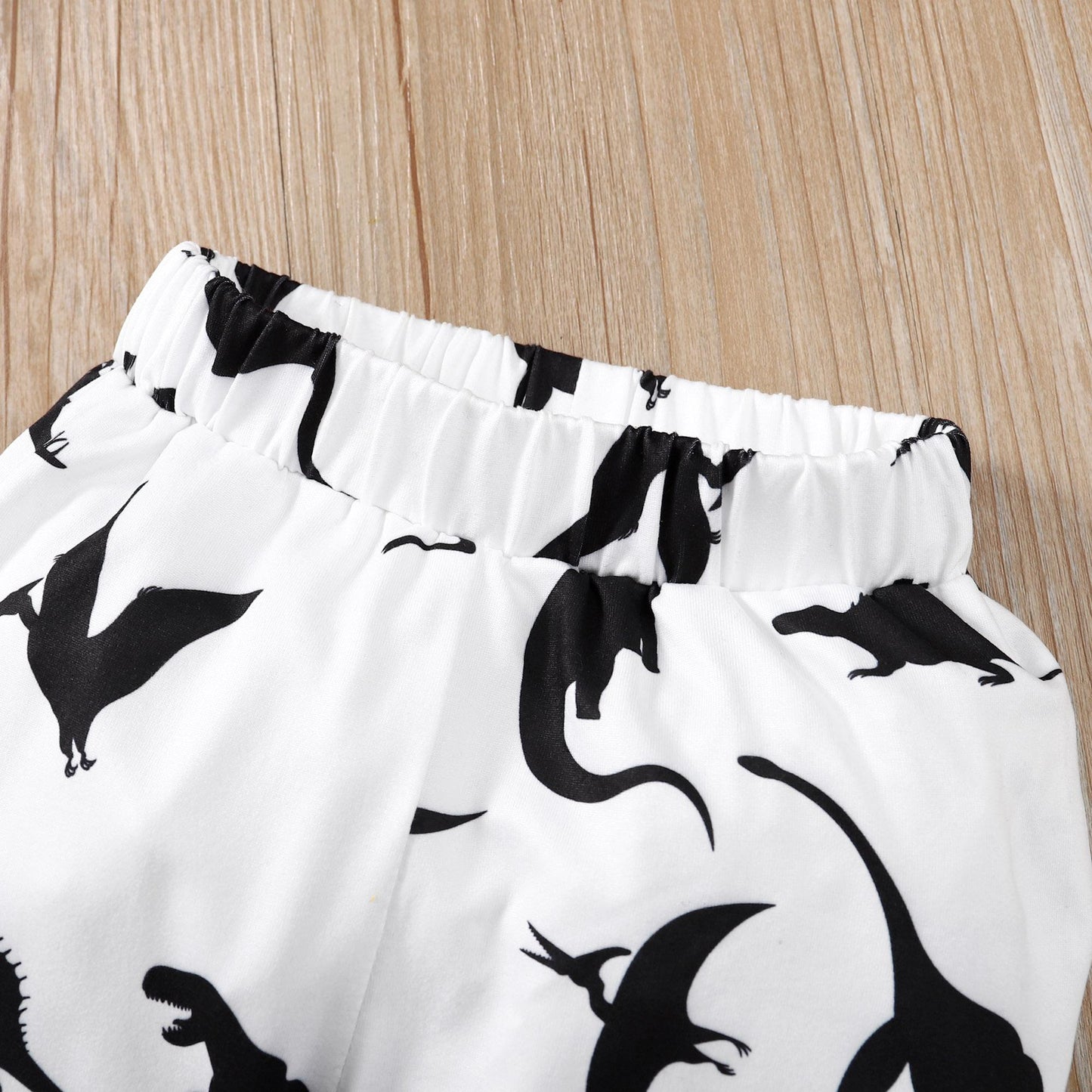 Baby Boys Clothes Baby OOTD Dinosaur Hooded Pants 2Pcs Outfits For Winter Black 222060041
