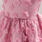 Baby Girls Princess Dress Embroidered Ruffle Sleeve Gazue Party One Piece Performance Dress Pink 2916