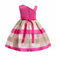 Baby Girl Little Girl Elegant Dress Princess Dress Summer Dress Party Dress Performance Dress2140-1