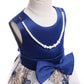 Baby Girl Little Girl Elegant Dress Princess Dress Summer Dress Party Dress Performance Dress2583