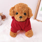 Pet Dog and Cat Clothes Pet Fashion Hoodie with Pockets Red 32108006-3