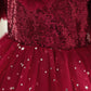 Toddler Baby Girls Princess Dress Star Print Sequins long Sleeve Round Neck Gauze Dress 1PCS Princess Dress Red C888