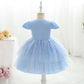 Baby Girl Little Girl Elegant Dress Princess Dress Summer Dress Party Dress Performance Dress S841
